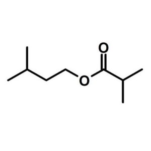 3-Methylbutyl isobutyrate