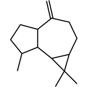 Aromadendrene