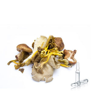 Edible Mushrooms