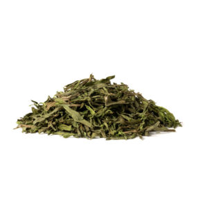 Tarragon (Artemisia dracunculus L.)