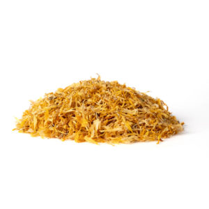 Marigold (Calendula officinalis)