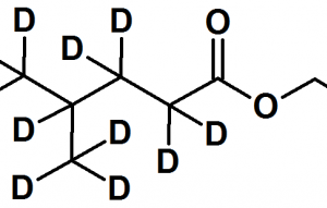 Ethyl 4-methylpentanoate-d11